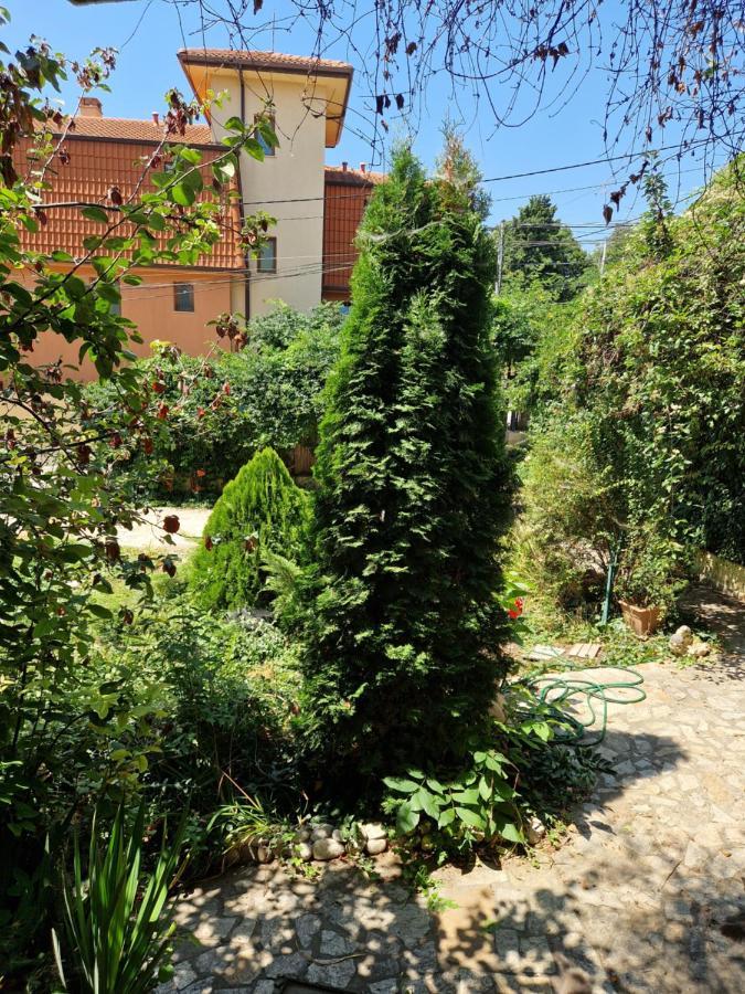 Villa Residence, Free Parking, Pets Friendly 瓦爾納 外观 照片